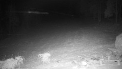 Běžecký lyžařský areál Nová Ves