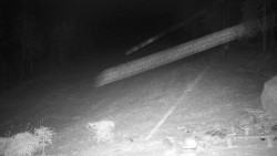 Běžecký lyžařský areál Nová Ves