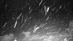 Běžecký lyžařský areál Nová Ves