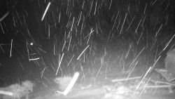 Běžecký lyžařský areál Nová Ves