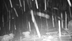 Běžecký lyžařský areál Nová Ves