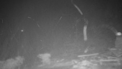 Běžecký lyžařský areál Nová Ves