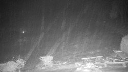 Běžecký lyžařský areál Nová Ves