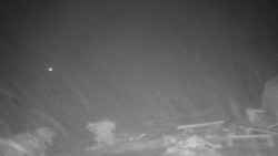 Běžecký lyžařský areál Nová Ves