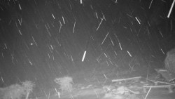 Běžecký lyžařský areál Nová Ves