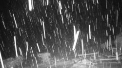 Běžecký lyžařský areál Nová Ves