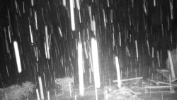 Běžecký lyžařský areál Nová Ves