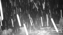 Běžecký lyžařský areál Nová Ves