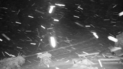 Běžecký lyžařský areál Nová Ves