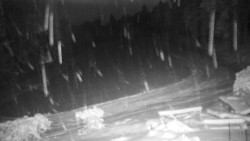 Běžecký lyžařský areál Nová Ves