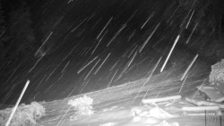 Běžecký lyžařský areál Nová Ves