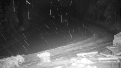 Běžecký lyžařský areál Nová Ves