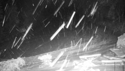 Běžecký lyžařský areál Nová Ves