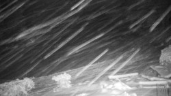 Běžecký lyžařský areál Nová Ves