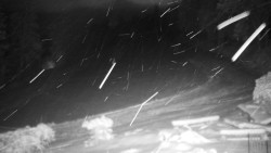 Běžecký lyžařský areál Nová Ves