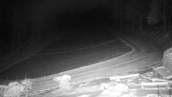 Běžecký lyžařský areál Nová Ves