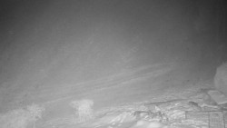 Běžecký lyžařský areál Nová Ves