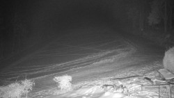 Běžecký lyžařský areál Nová Ves