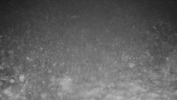 Běžecký lyžařský areál Nová Ves