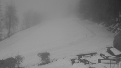 Běžecký lyžařský areál Nová Ves