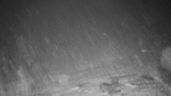 Běžecký lyžařský areál Nová Ves