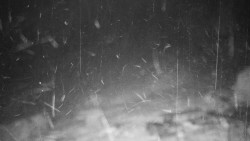 Běžecký lyžařský areál Nová Ves