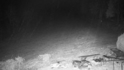 Běžecký lyžařský areál Nová Ves