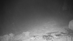 Běžecký lyžařský areál Nová Ves