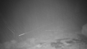 Chata Myslivna SKP Olomouc - Běžecký lyžařský areál Nová Ves - 9.12.2025 v 01:00 Chata Myslivna SKP Olomouc - Běžecký lyžařský areál Nová Ves - 9.12.2025 v 01:00