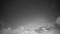 Běžecký lyžařský areál Nová Ves