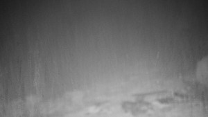 Chata Myslivna SKP Olomouc - Běžecký lyžařský areál Nová Ves - 9.12.2025 v 19:00 Chata Myslivna SKP Olomouc - Běžecký lyžařský areál Nová Ves - 9.12.2025 v 19:00