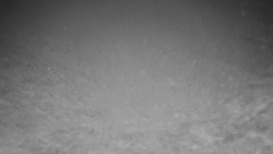 Běžecký lyžařský areál Nová Ves