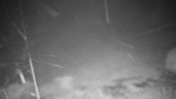 Běžecký lyžařský areál Nová Ves