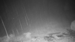 Běžecký lyžařský areál Nová Ves