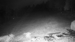 Běžecký lyžařský areál Nová Ves