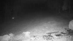 Běžecký lyžařský areál Nová Ves