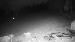 Běžecký lyžařský areál Nová Ves