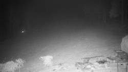 Běžecký lyžařský areál Nová Ves