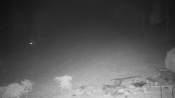 Běžecký lyžařský areál Nová Ves