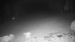 Běžecký lyžařský areál Nová Ves