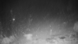 Běžecký lyžařský areál Nová Ves