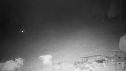 Běžecký lyžařský areál Nová Ves