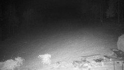 Běžecký lyžařský areál Nová Ves