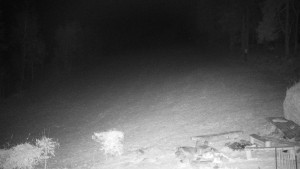 Chata Myslivna SKP Olomouc - Běžecký lyžařský areál Nová Ves - 15.12.2025 v 19:30 Chata Myslivna SKP Olomouc - Běžecký lyžařský areál Nová Ves - 15.12.2025 v 19:30