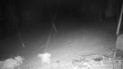 Běžecký lyžařský areál Nová Ves