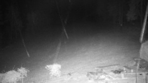 Chata Myslivna SKP Olomouc - Běžecký lyžařský areál Nová Ves - 15.12.2025 v 21:30 Chata Myslivna SKP Olomouc - Běžecký lyžařský areál Nová Ves - 15.12.2025 v 21:30