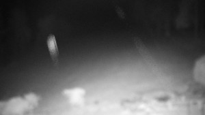 Chata Myslivna SKP Olomouc - Běžecký lyžařský areál Nová Ves - 15.12.2025 v 23:30 Chata Myslivna SKP Olomouc - Běžecký lyžařský areál Nová Ves - 15.12.2025 v 23:30