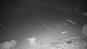 Chata Myslivna SKP Olomouc - Běžecký lyžařský areál Nová Ves - 16.12.2025 v 00:00 Chata Myslivna SKP Olomouc - Běžecký lyžařský areál Nová Ves - 16.12.2025 v 00:00