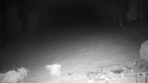 Chata Myslivna SKP Olomouc - Běžecký lyžařský areál Nová Ves - 16.12.2025 v 02:00 Chata Myslivna SKP Olomouc - Běžecký lyžařský areál Nová Ves - 16.12.2025 v 02:00