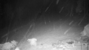 Chata Myslivna SKP Olomouc - Běžecký lyžařský areál Nová Ves - 16.12.2025 v 03:30 Chata Myslivna SKP Olomouc - Běžecký lyžařský areál Nová Ves - 16.12.2025 v 03:30